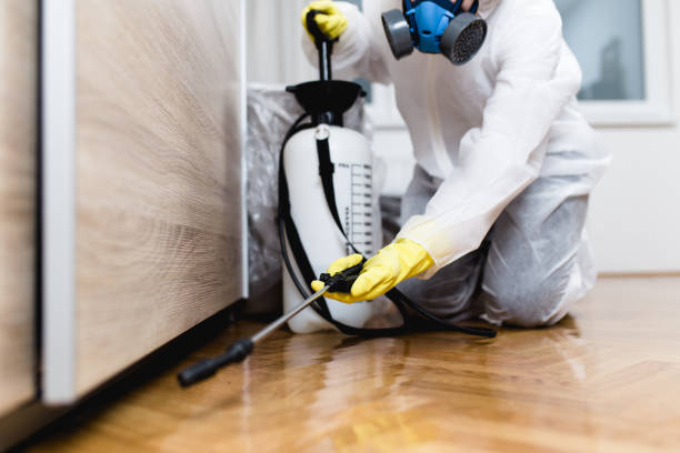Best Best Pest Control Companies  in La Quinta, CA