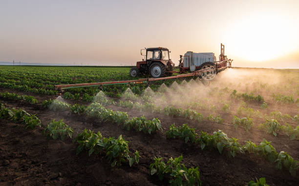 Professional Pest Control in La Quinta, CA