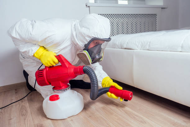 Best Flea Control Services  in La Quinta, CA