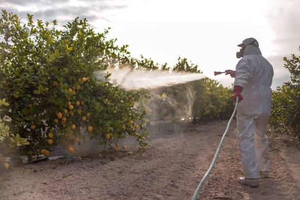 Best Residential Pest Control  in La Quinta, CA