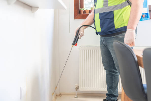 Flea Control Services in La Quinta, CA