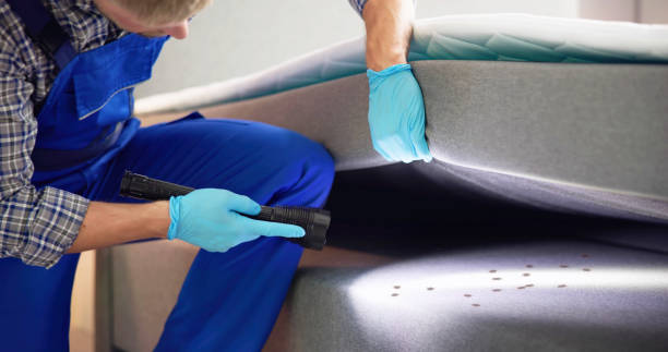 Best Termite Control Services  in La Quinta, CA